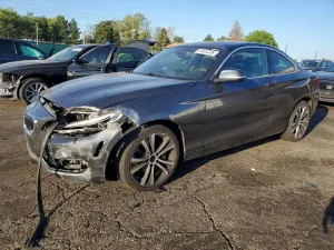 BMW 2 Series 2.0L 4 2016