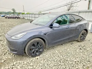 Tesla Model Y 2020
