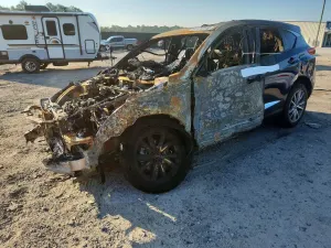 Acura RDX 2.0L 4 2019