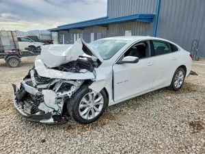 Chevrolet Malibu 1.5L 4 2024