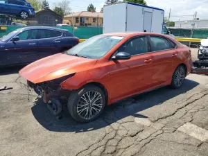 Kia Cerato / Forte / K3 2.0L 4 2022