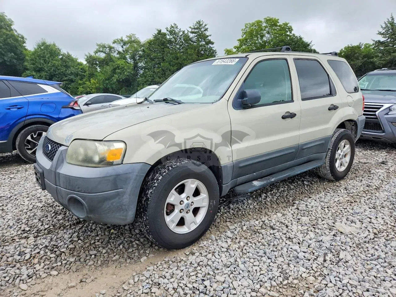 Ford Escape 3.0L 6 2005