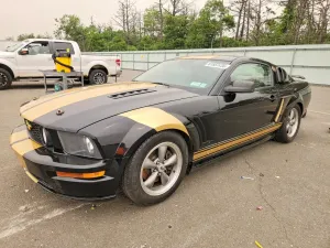 Ford Mustang 4.6L 8 2005