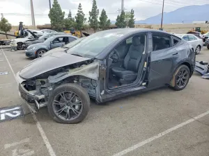 Tesla Model Y 2025