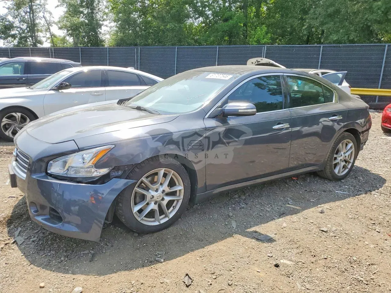 Nissan Maxima 2010
