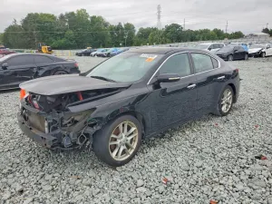 Nissan Maxima 3.5L 6 2010
