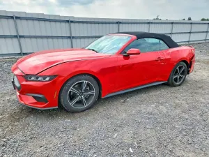Ford Mustang 2.3L 4 2024
