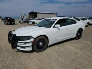 Dodge Charger 2017
