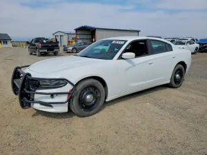 Dodge Charger 2019