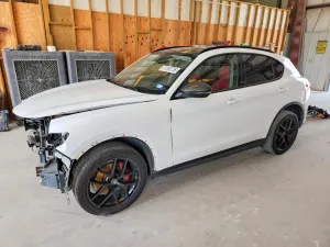 Alfa Romeo Stelvio 2.0L 4 2019