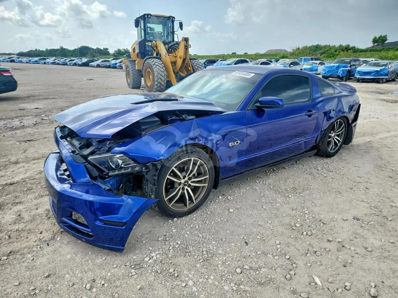 Ford Mustang 5.0L 8 2014