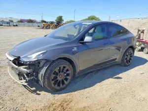 Tesla Model Y 2020
