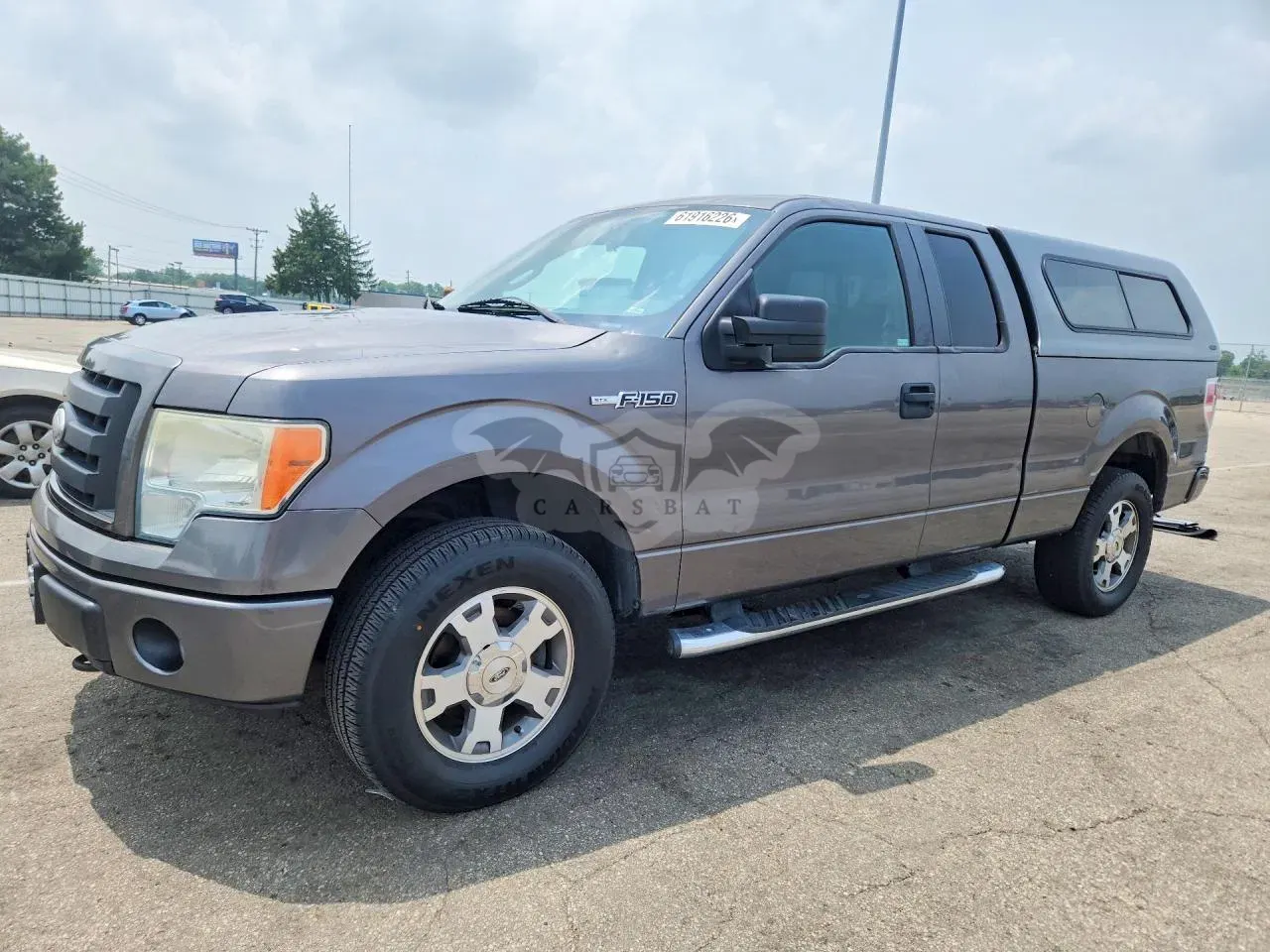 Ford F-150 4.6L 8 2009