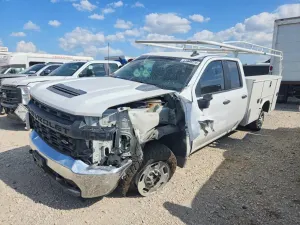 Chevrolet Silverado 1500 6.6L 8 2022