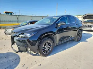 Lexus NX 2.5L 4 2024