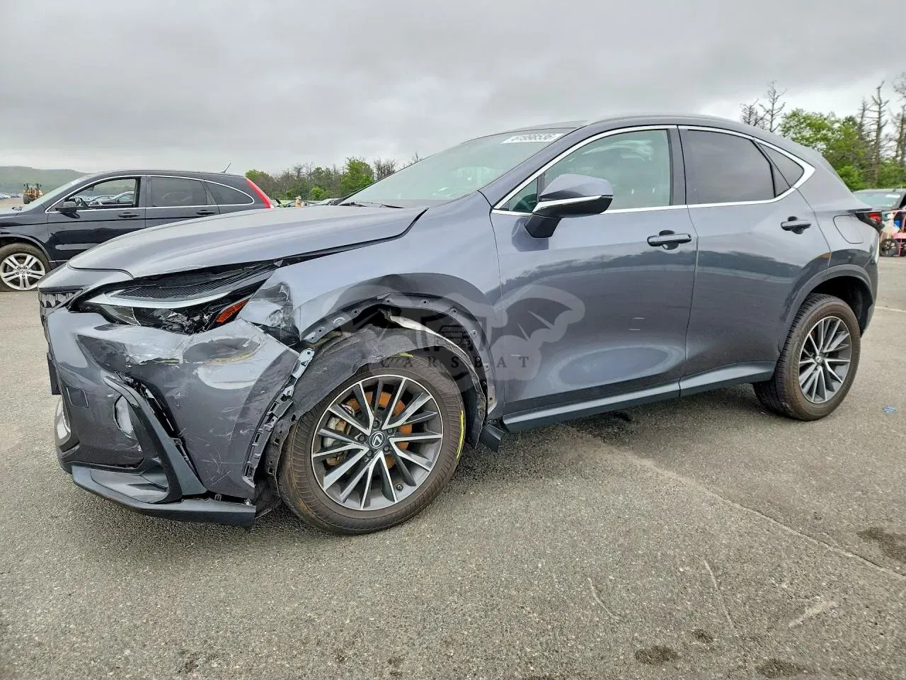 Lexus NX 2.4L 4 2024