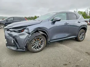Lexus NX 2.4L 4 2024