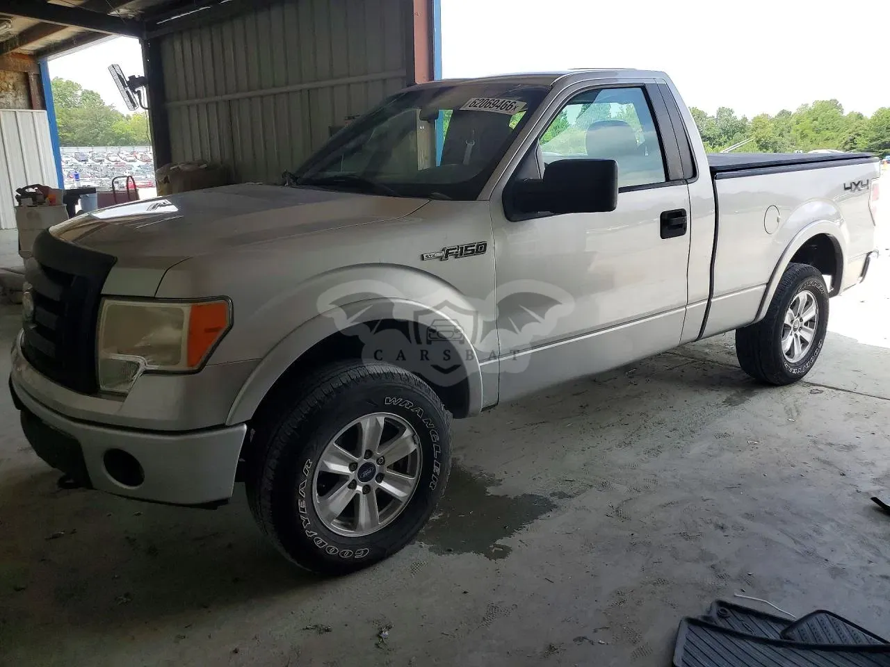 Ford F-150 4.6L 8 2009