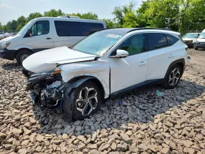 Hyundai Tucson 2.5L 4 2022
