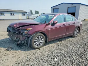 Honda Accord 2.4L 4 2011