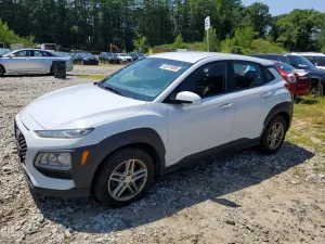 Hyundai Kona 2.0L 4 2019