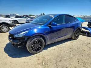 Tesla Model Y 2020