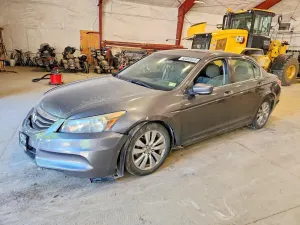 Honda Accord 2.4L 4 2011