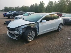 Tesla Model 3 2019