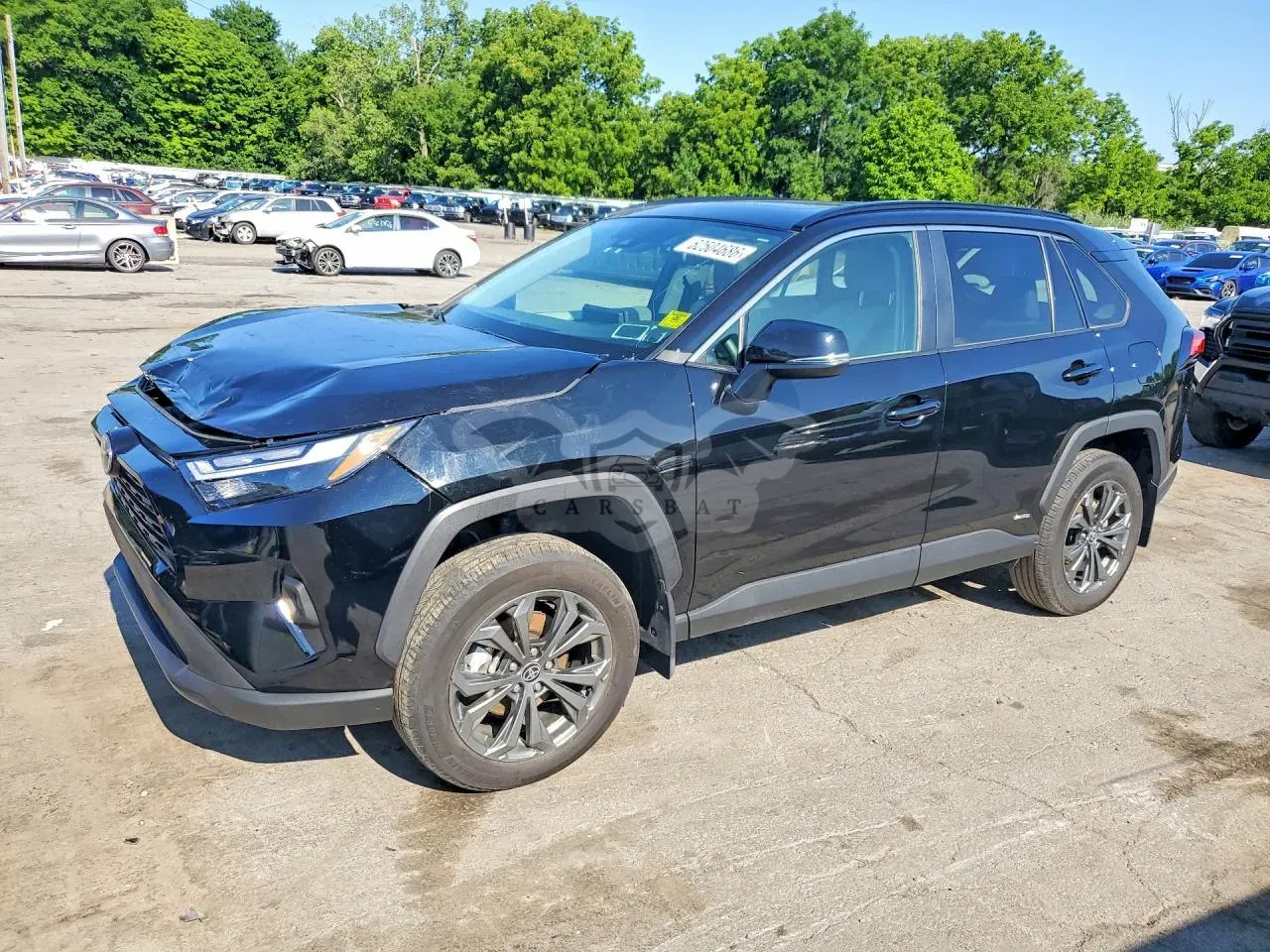 Toyota Rav4 2024