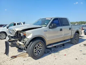 Ford F-150 5.4L 8 2006