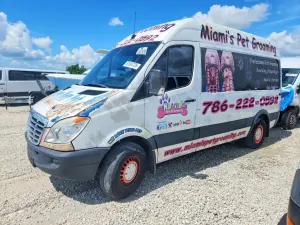 Freightliner Sprinter 3.0L 6 2010