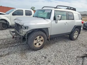 Toyota FJ Cruiser 4.0L 6 2007