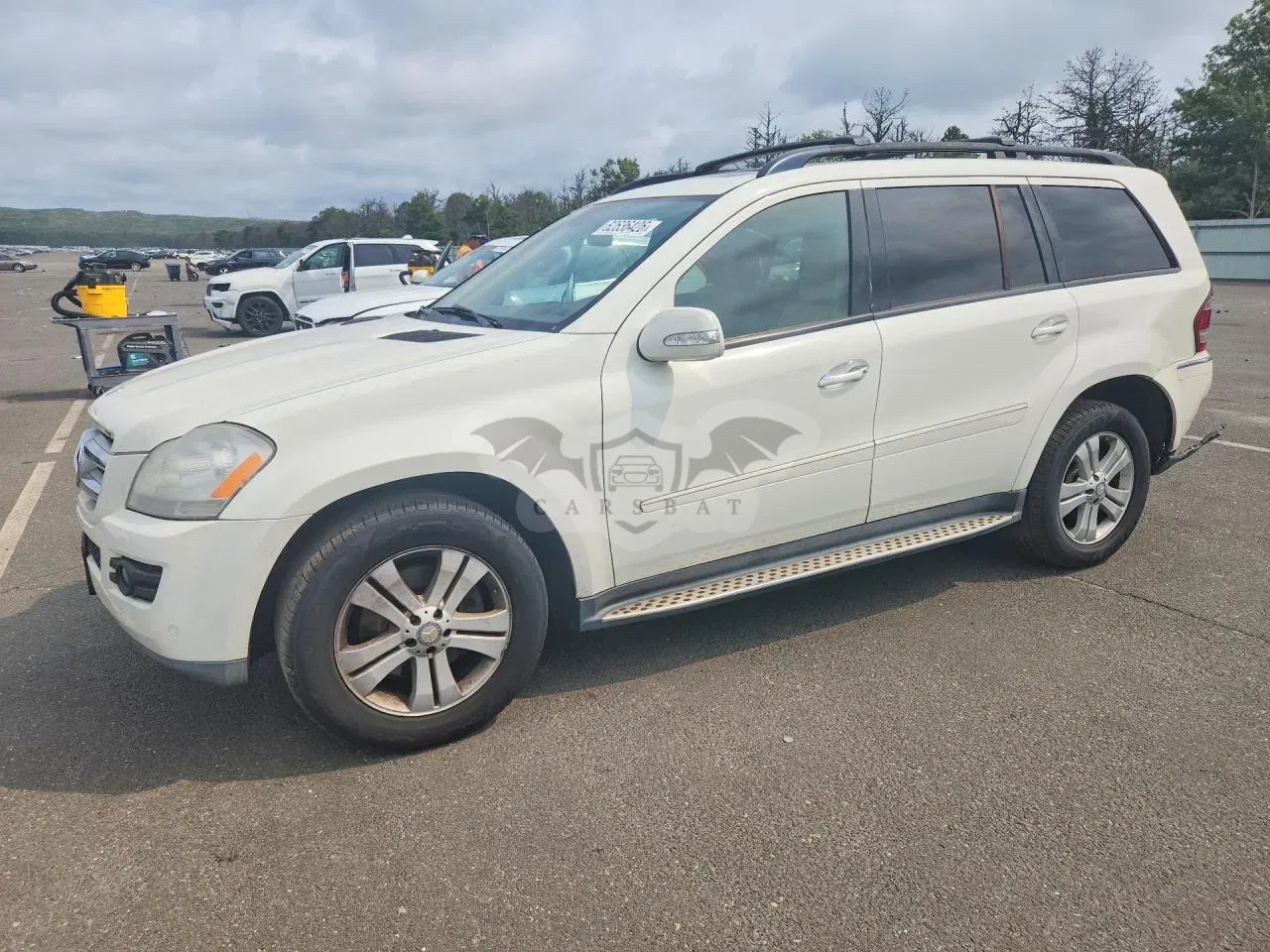 Mercedes-Benz GL 4.6L 8 2008
