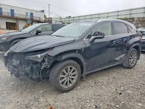 Lexus NX 2.0L 4 2021