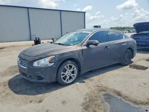 Nissan Maxima 3.5L 6 2014