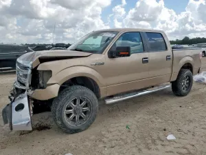 Ford F-150 SUPERCREW 5.0L 8 2013
