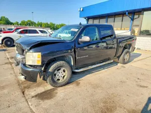 Chevrolet Silverado 1500 5.3L 8 2007