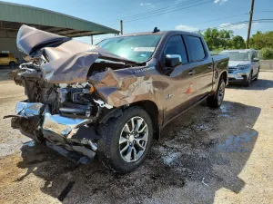 Chevrolet Silverado 1500 5.3L 8 2019