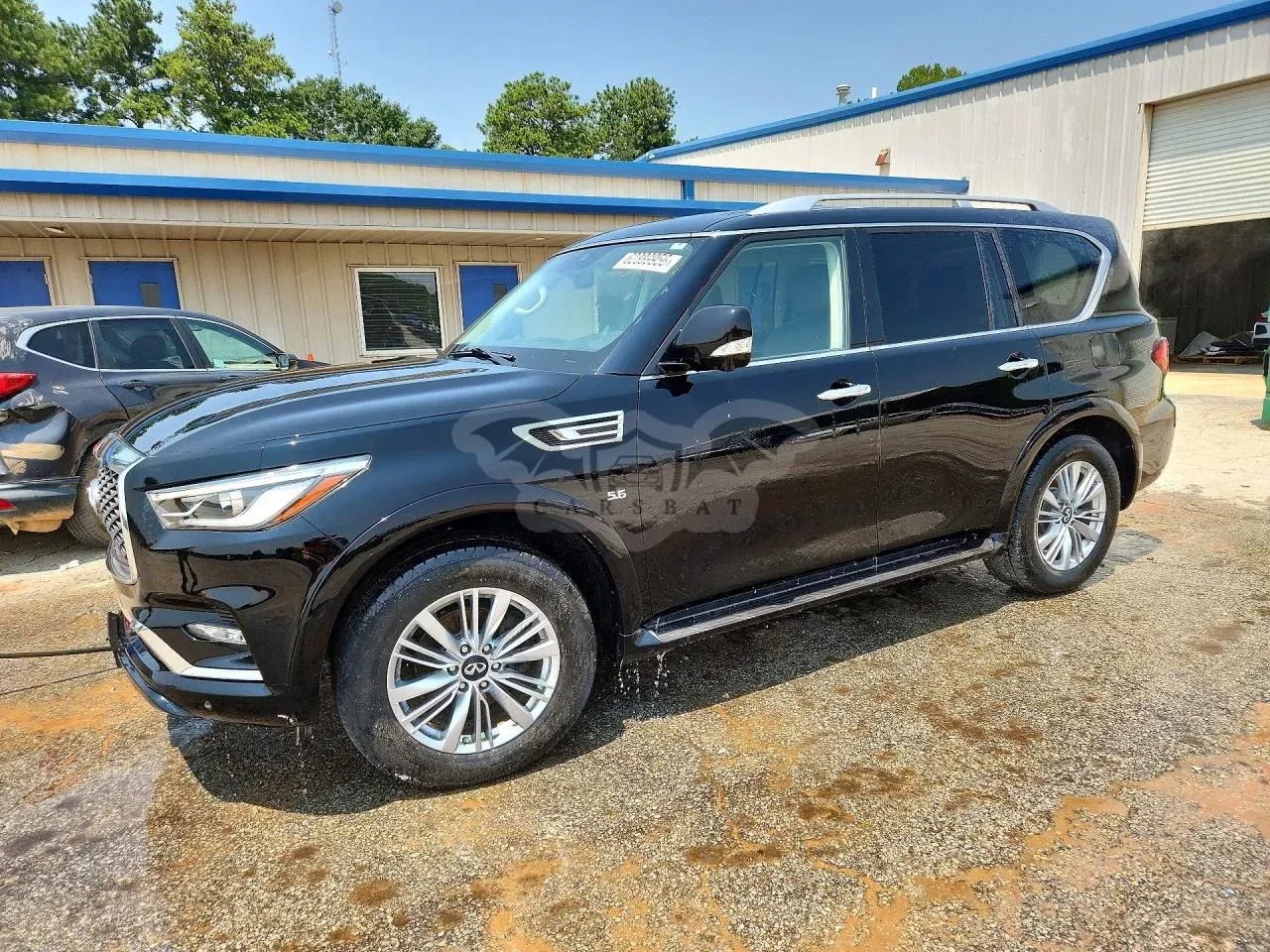 Infiniti QX80 5.6L 8 2019