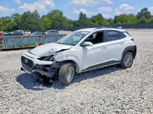 Hyundai Kona 2.0L 4 2018