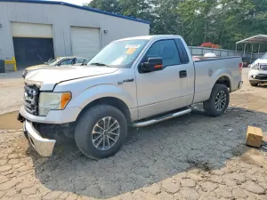 Ford F-150 4.6L 8 2010
