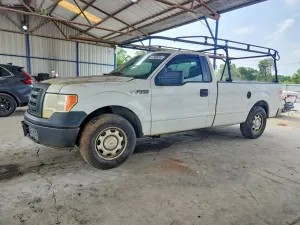 Ford F-150 4.6L 8 2010