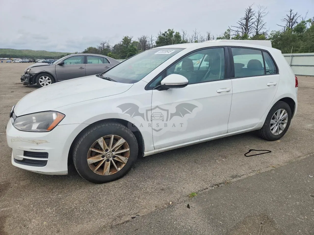 Volkswagen Golf 1.8L 4 2015