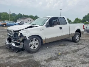 Ford F-150 5.4L 8 2004