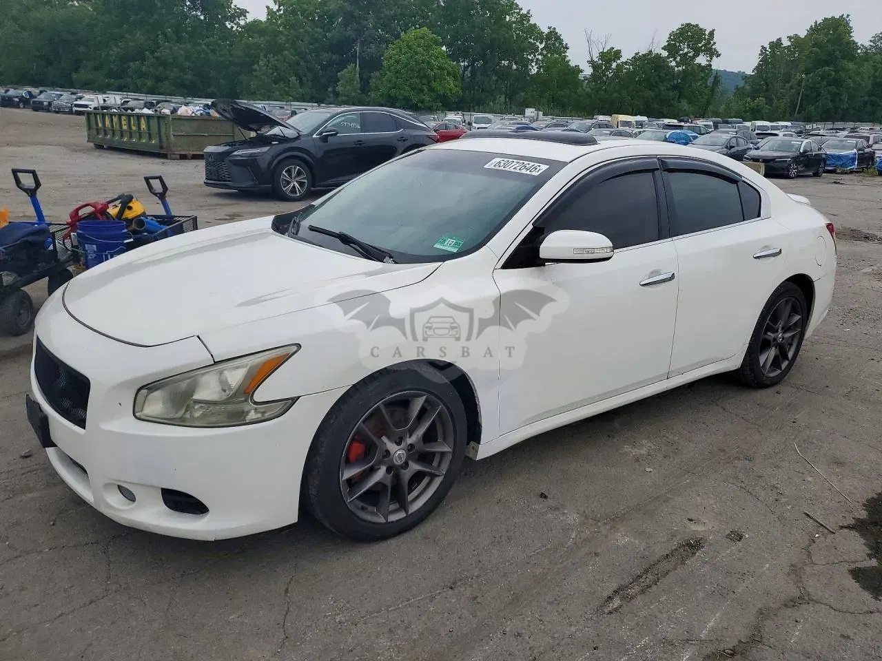 Nissan Maxima 2010
