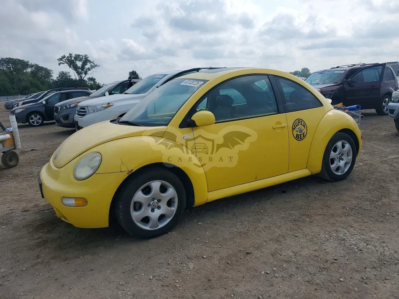 Volkswagen Beetle 2.0L 4 2002