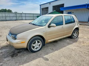 Volkswagen Golf 2.0L 4 2004