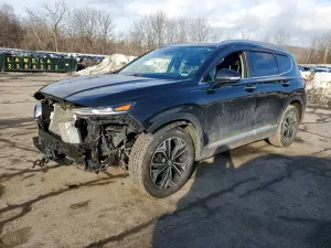Hyundai Santa Fe 2.0L 4 2020