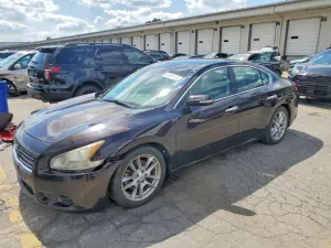 Nissan Maxima 3.5L 6 2010