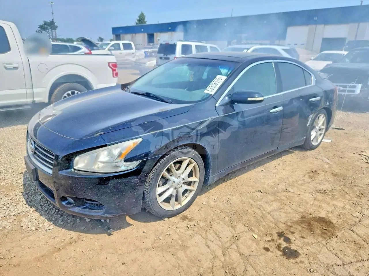 Nissan Maxima 3.5L 6 2010